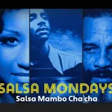 Salsa Mondays